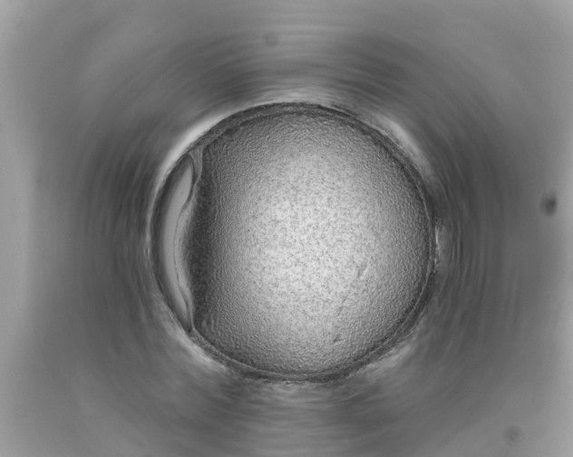 X0000093760780200710231251