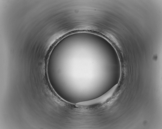 X0000093760781200710231251
