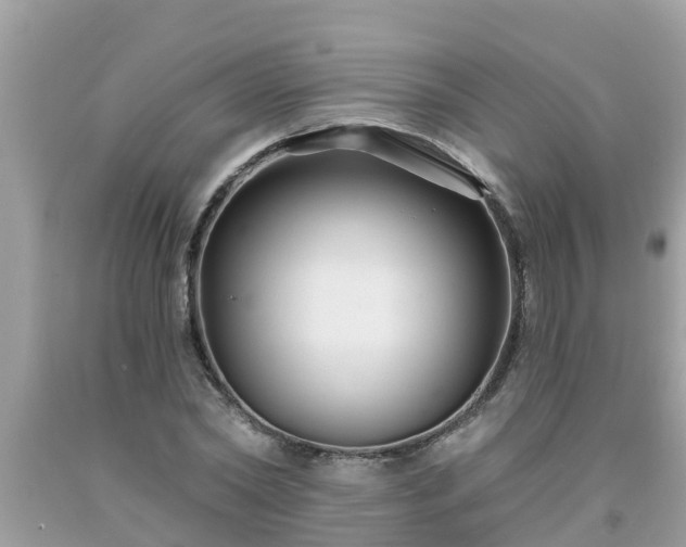 X0000093760782200710231251