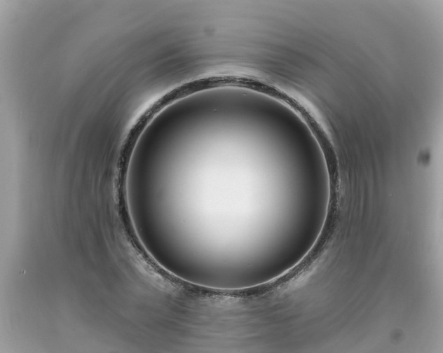 X0000093760783200710231251