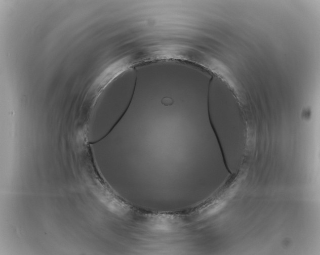 X0000093760785200710231251