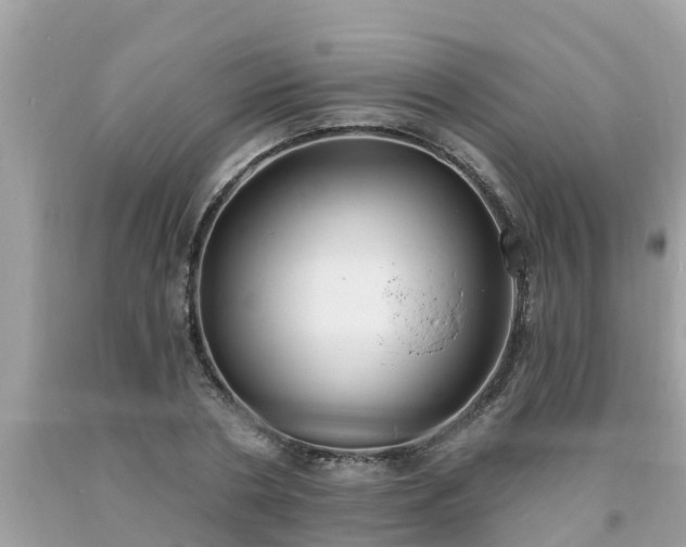 X0000093760786200710231251