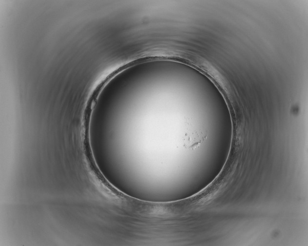 X0000093760787200710231251