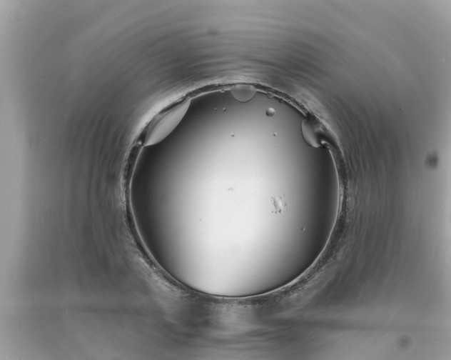 X0000093760789200710231251