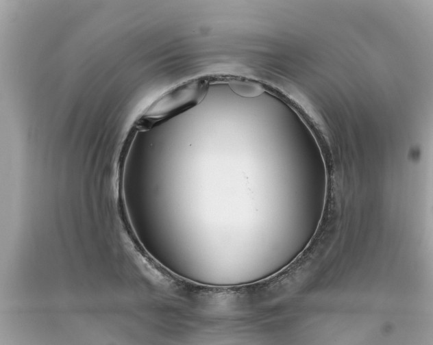 X0000093760791200710231251