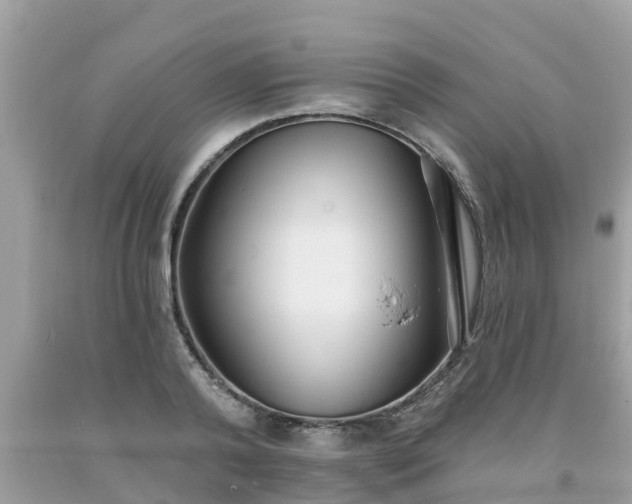 X0000093760792200710231251