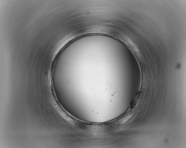 X0000093760796200710231251