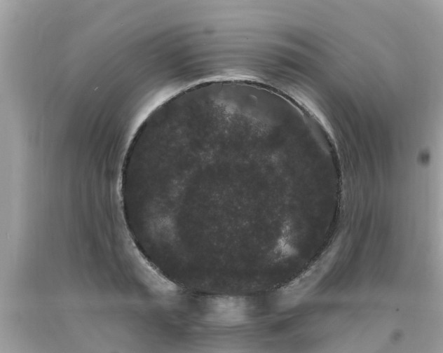 X0000093760797200710231251