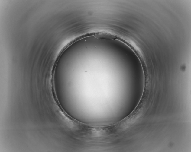 X0000093760799200710231251