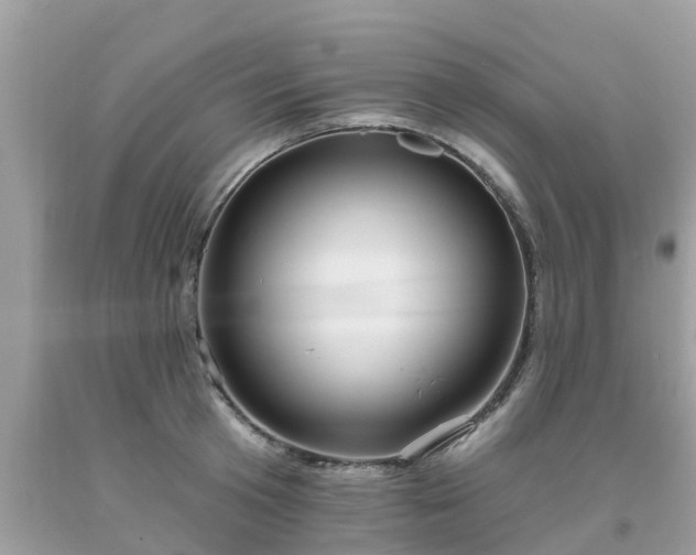 X0000093760801200710231251