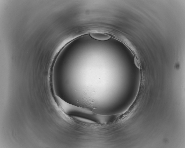 X0000093760803200710231251
