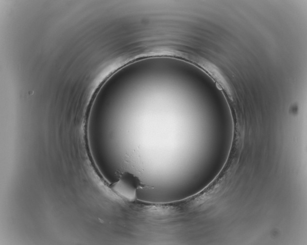 X0000093760805200710231251
