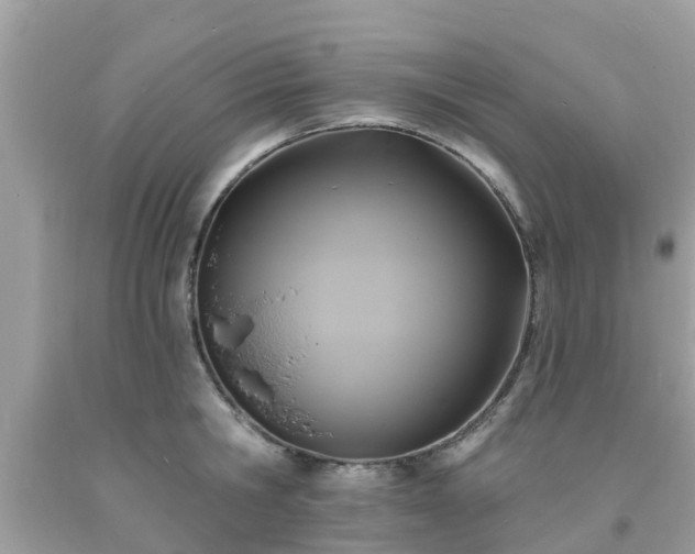 X0000093760806200710231251