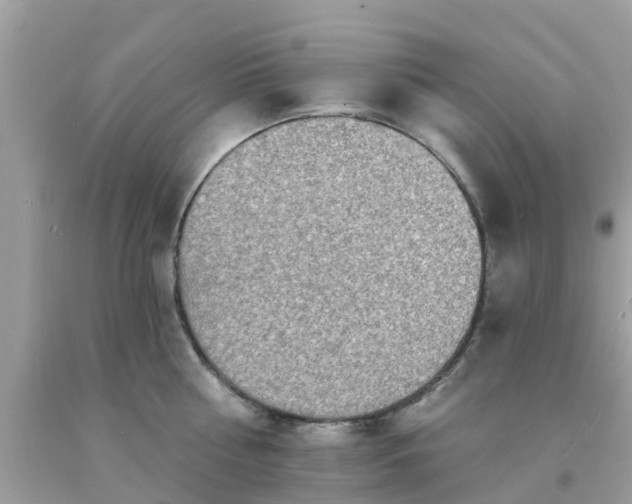 X0000093760810200710231251