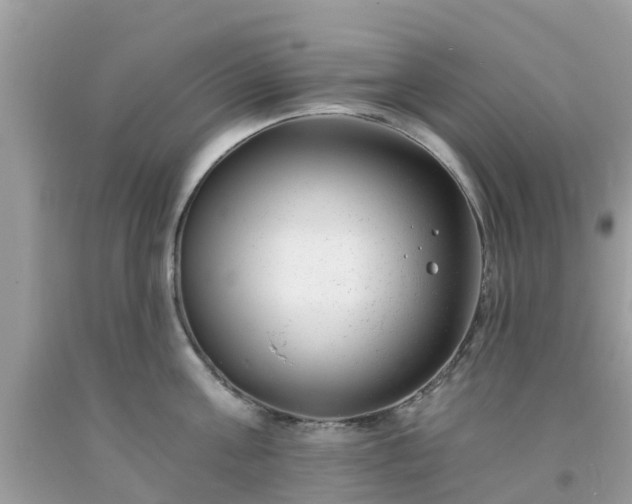 X0000093760811200710231251