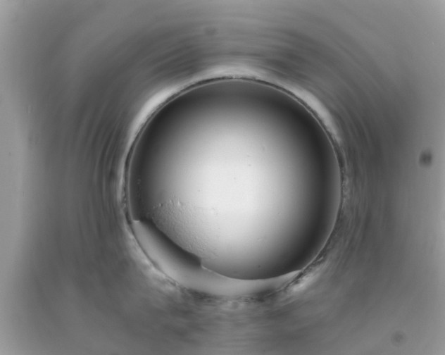 X0000093760815200710231251