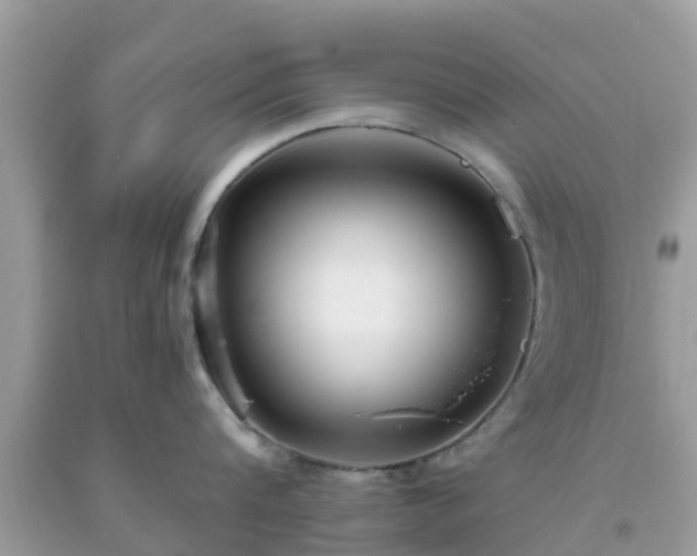 X0000093760816200710231251