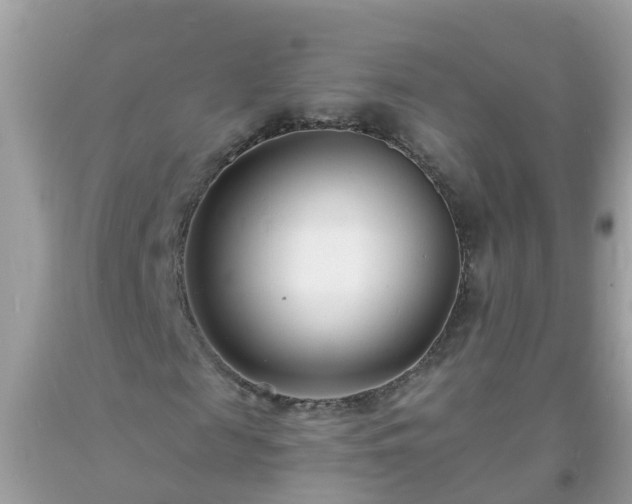 X0000093760817200710231250