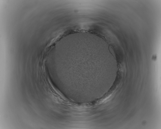 X0000093760818200710231250