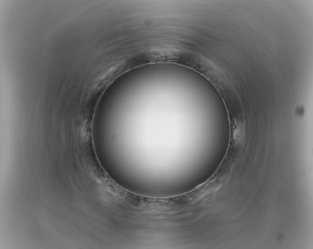 X0000093760819200710231250