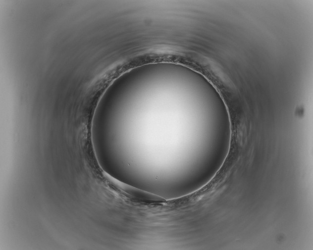 X0000093760821200710231250
