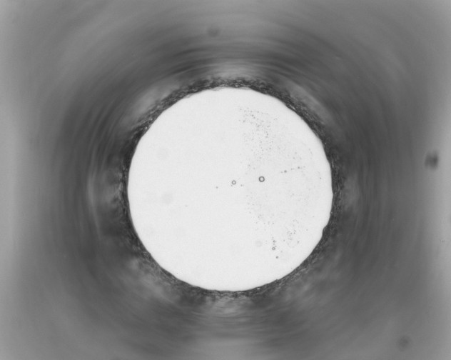 X0000093760824200710231250