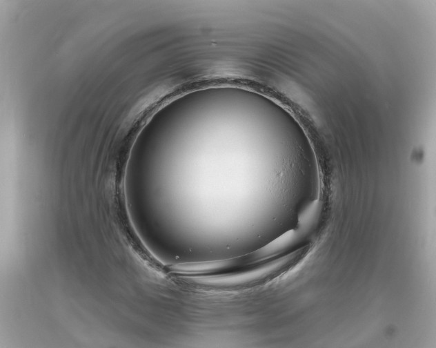 X0000093760825200710231250