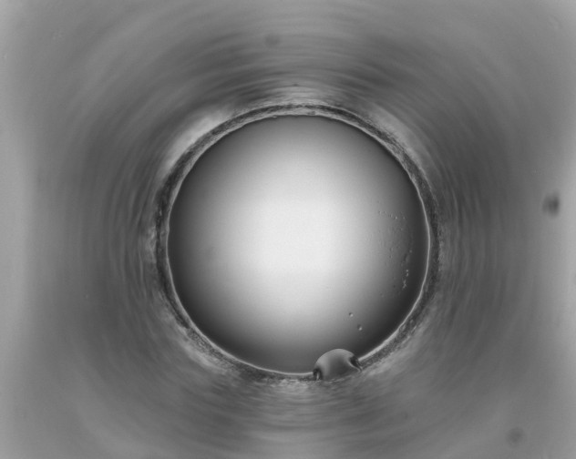 X0000093760827200710231250