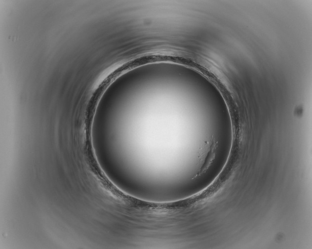 X0000093760829200710231250