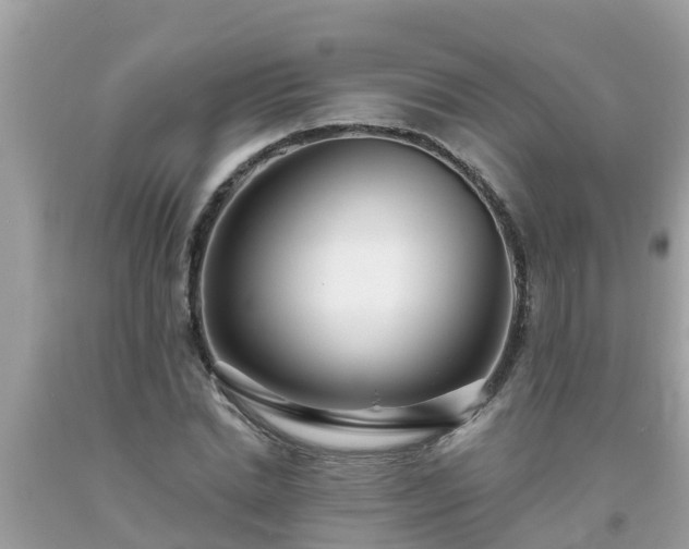 X0000093760830200710231250