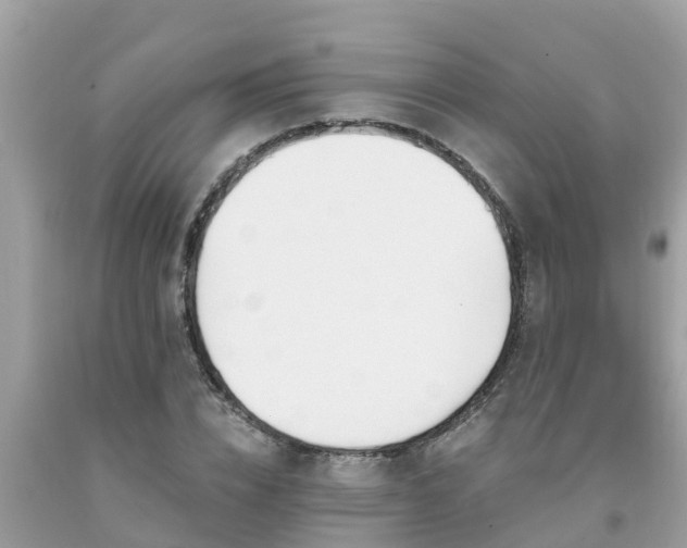 X0000093760832200710231250