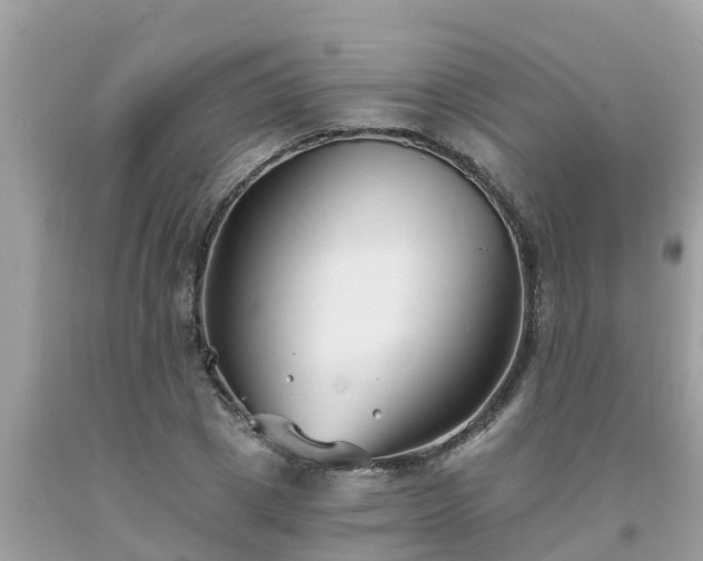 X0000093760833200710231250
