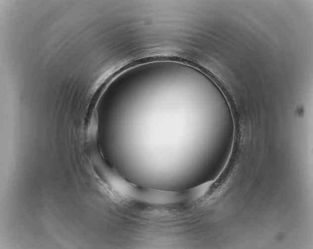 X0000093760834200710231250