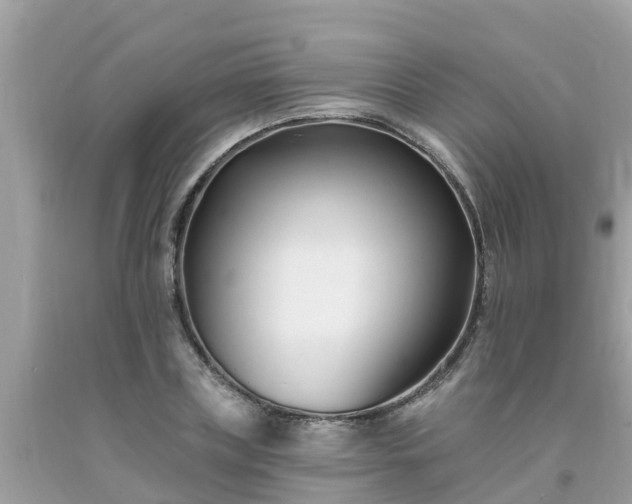 X0000093760835200710231250