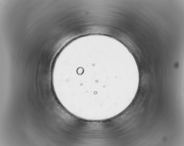X0000093760836200710231250