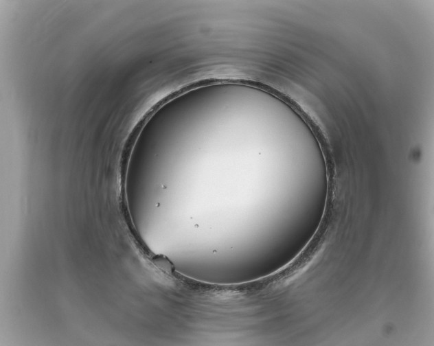 X0000093760837200710231250