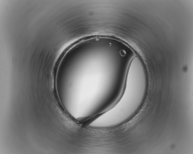 X0000093760838200710231250