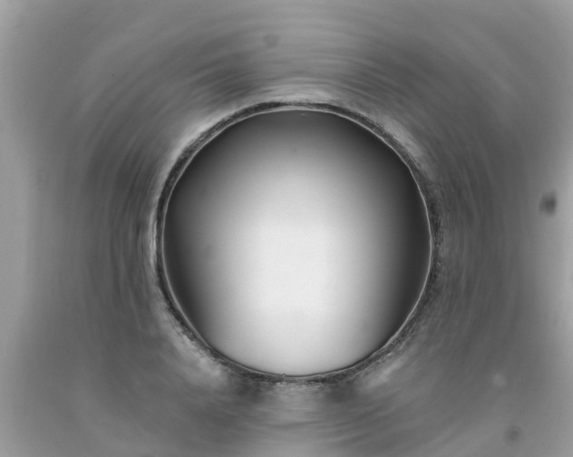 X0000093760840200710231251