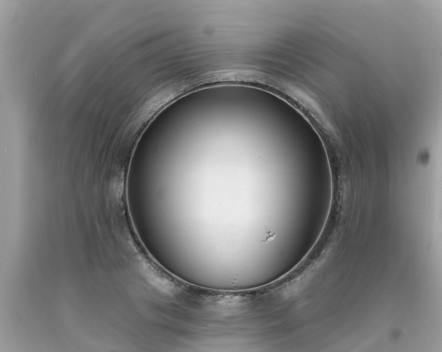 X0000093760841200710231251