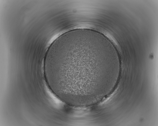 X0000093760842200710231251