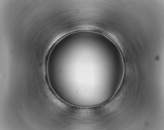 X0000093760843200710231251