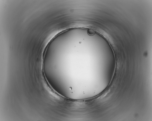 X0000093760844200710231251