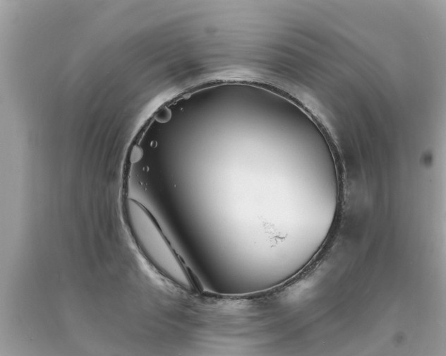 X0000093760845200710231251