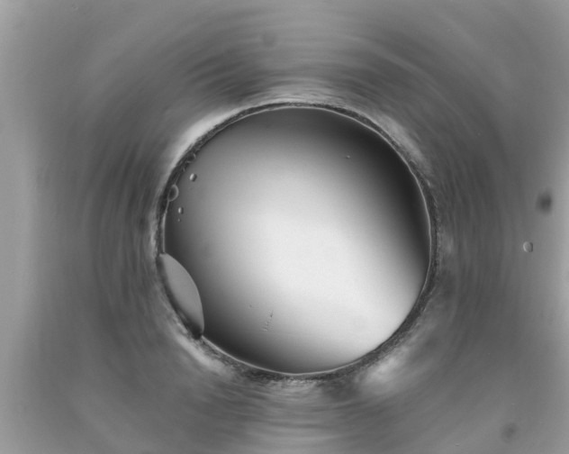 X0000093760846200710231251