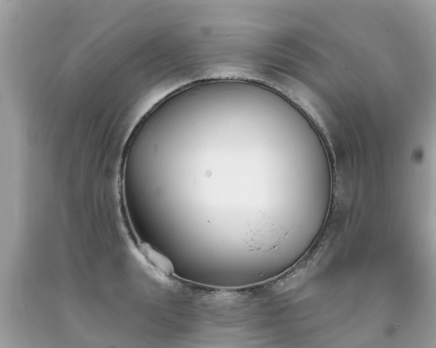X0000093760847200710231251