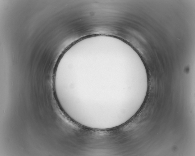 X0000093760848200710231251