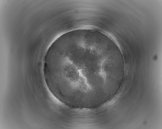 X0000093760851200710231251