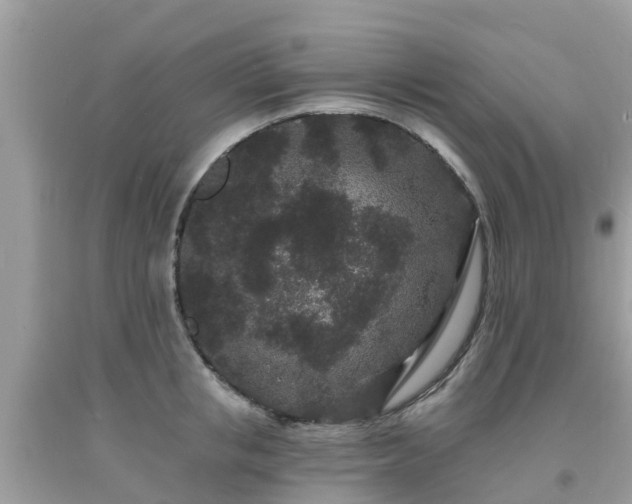 X0000093760853200710231251