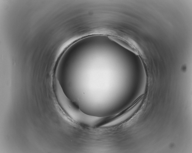 X0000093760854200710231251