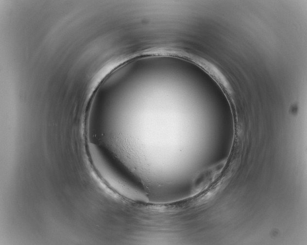 X0000093760855200710231251